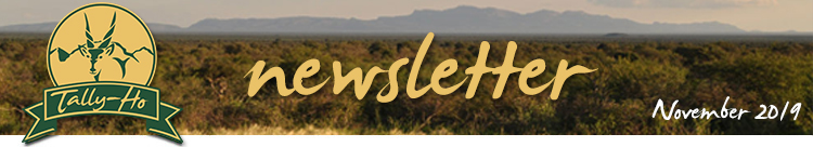 Tally-Ho Hunting Safaris - newsletter November 2019